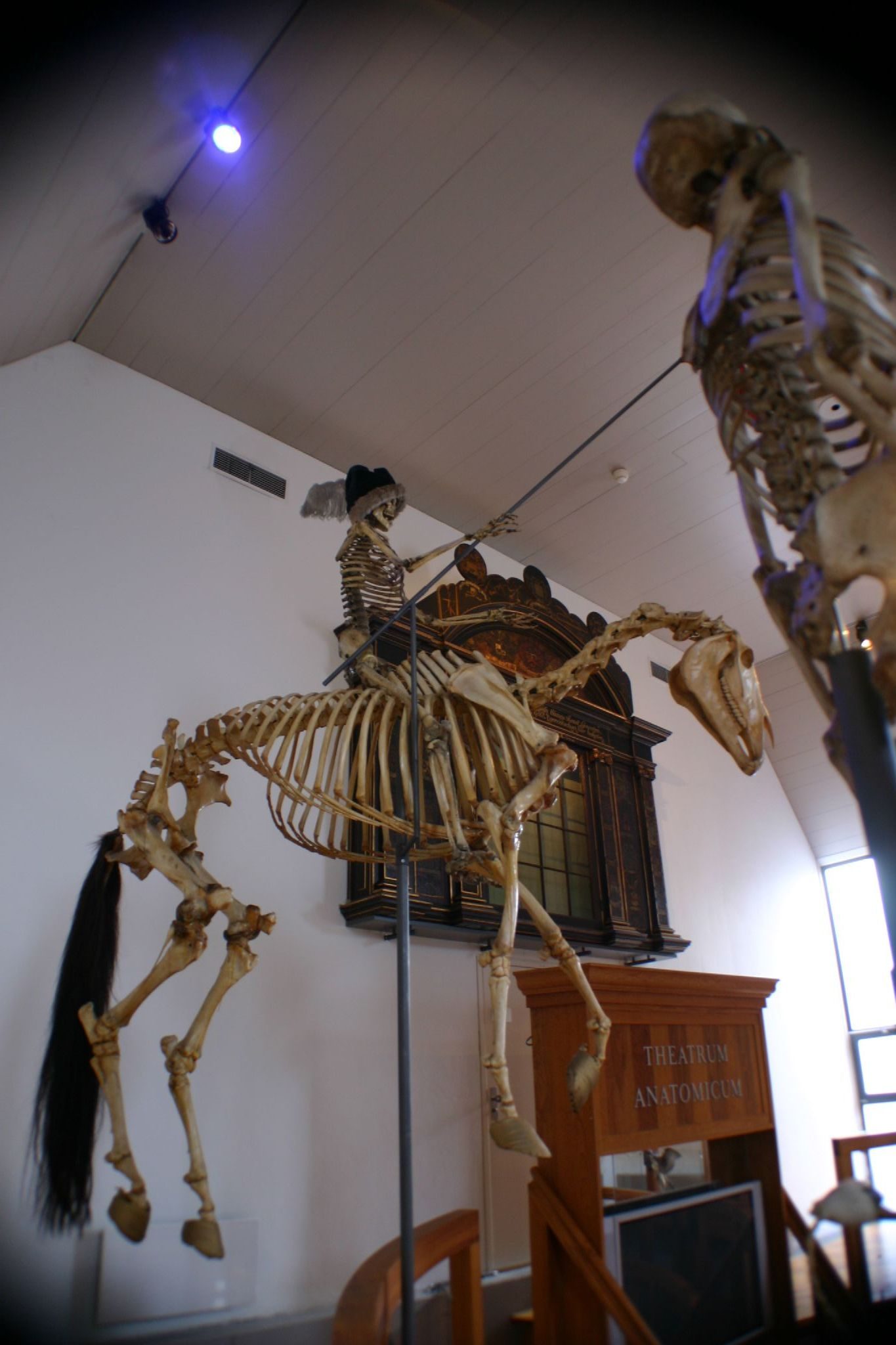 Boerhaave Museum, Leiden - 4.jpg